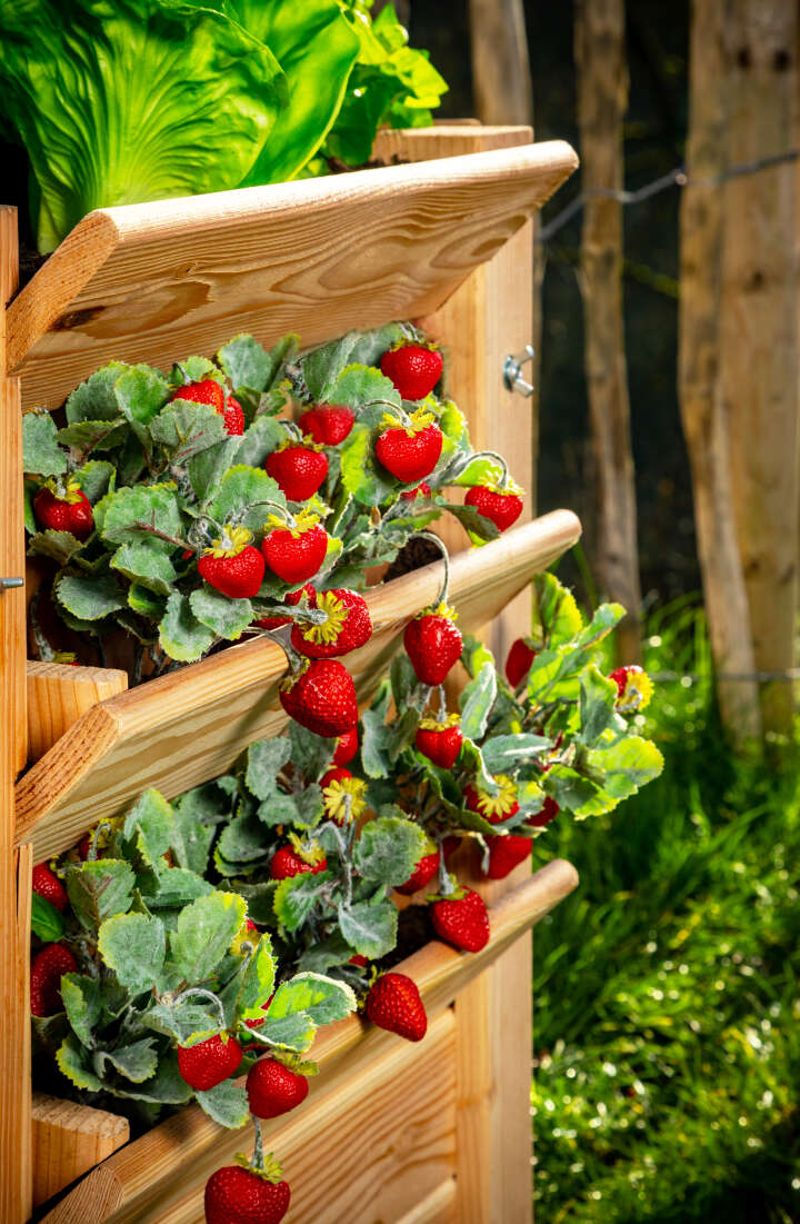 WESTMANN Hochbeet Premium